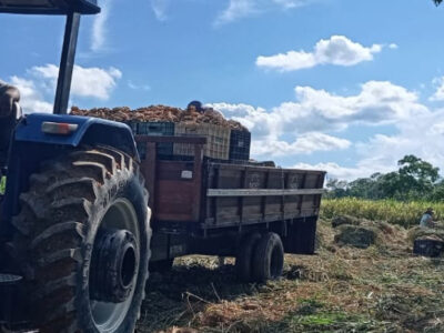 Prefeitura de Juquiá Oferece aos Agricultores do Município o Serviço de Mecanização Agrícola