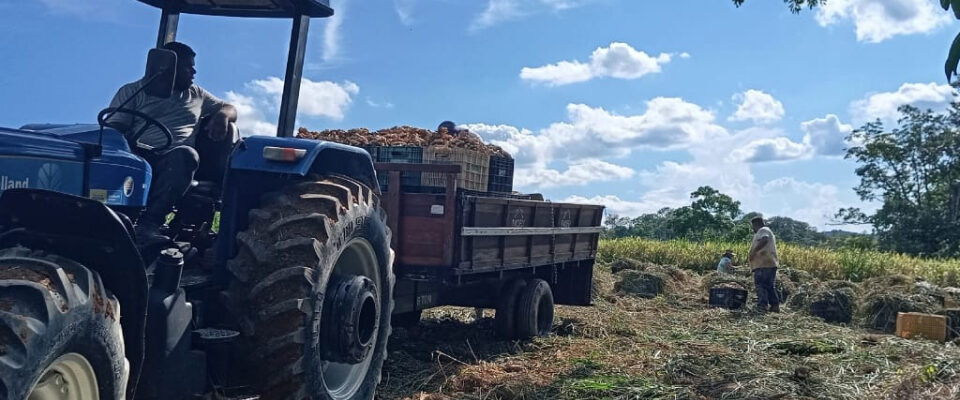 Prefeitura de Juquiá Oferece aos Agricultores do Município o Serviço de Mecanização Agrícola