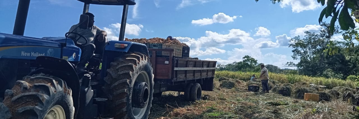 Prefeitura de Juquiá Oferece aos Agricultores do Município o Serviço de Mecanização Agrícola