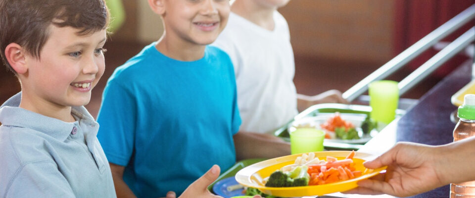Chamada Pública para Composição do Conselho de Alimentação Escolar